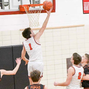 Meet your Posher, Will